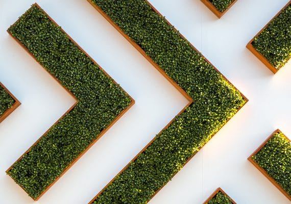 Chevron-shaped green arrow made from plant material, symbolising growth and forward motion