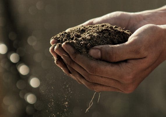 A cultivator cusps two hands full of fertile soil - bio-mineral plant nutrients