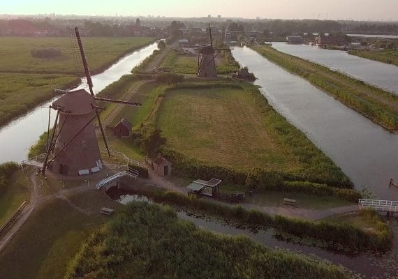 Traditional Dutch windmills in a rural landscape, representing Mills Nutrients' heritage and agricultural roots