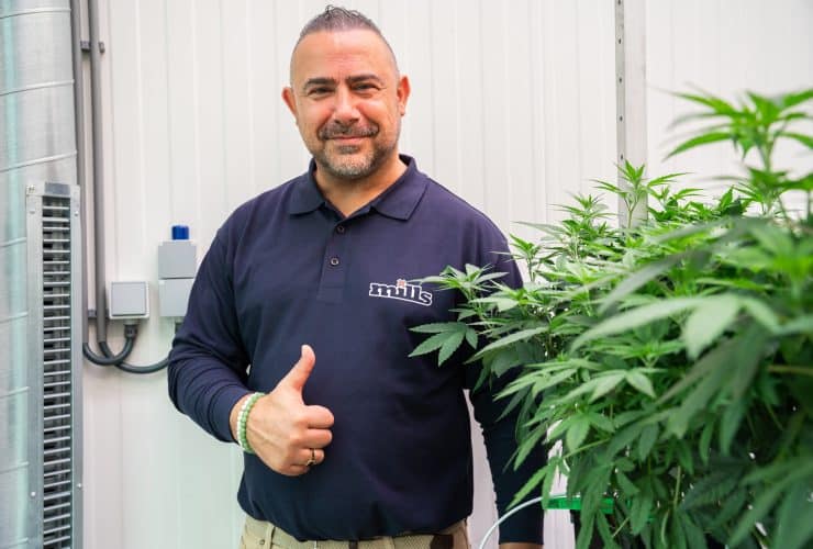 Team Mills at The Mills Medical Cannabis Platform for Innovation and Research