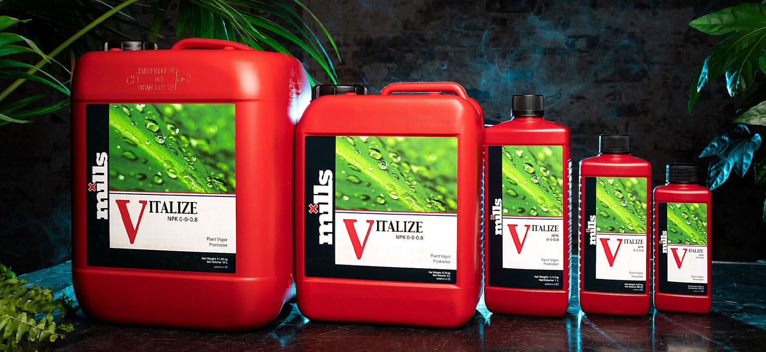 Full range of Mills Vitalize silicon bottles from 250ml to 10L displayed in a line with tropical plants and mist, promoting plant structure and vigor.